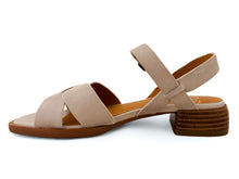 Load image into Gallery viewer, EOS Tega