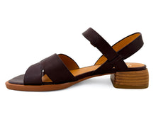 Load image into Gallery viewer, EOS Tega